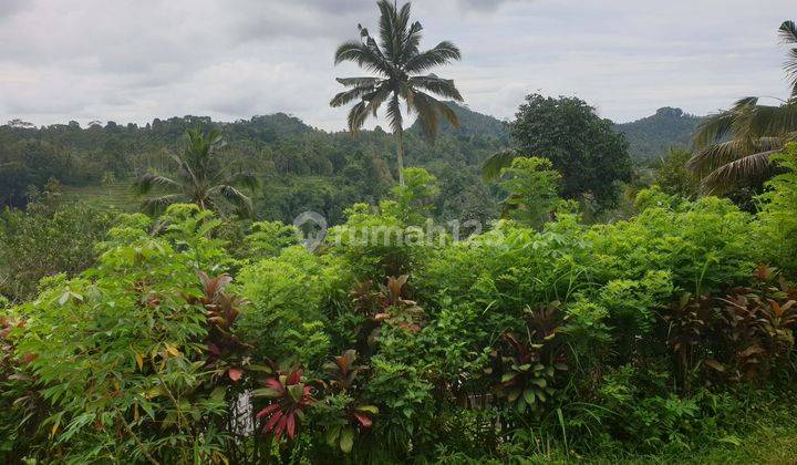 Land for Sale 

Location close to Sidemen Traditional Village Bali Tanah 250 SHM are 2