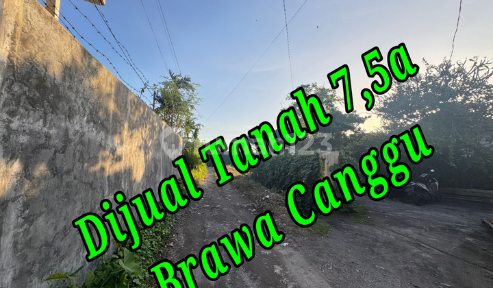 Dijual Tanah 7,5a Di Area Jln Pantai Brawa Canggu Bali Tanah di Pantai Berawa, Jl. Pantai Berawa, Tibubeneng, Kuta Utara, Badung, Bali, Indonesia, 80361, Canggu SHM 758.0 m² Dijual Tanah 7,5a Di Area Jln Pantai Brawa Canggu Bali Tanah di Pantai Berawa, Jl. Pantai Berawa, Tibubeneng, Kuta Utara, Badung, Bali, Indonesia, 80361, Canggu SHM 758.0 m²