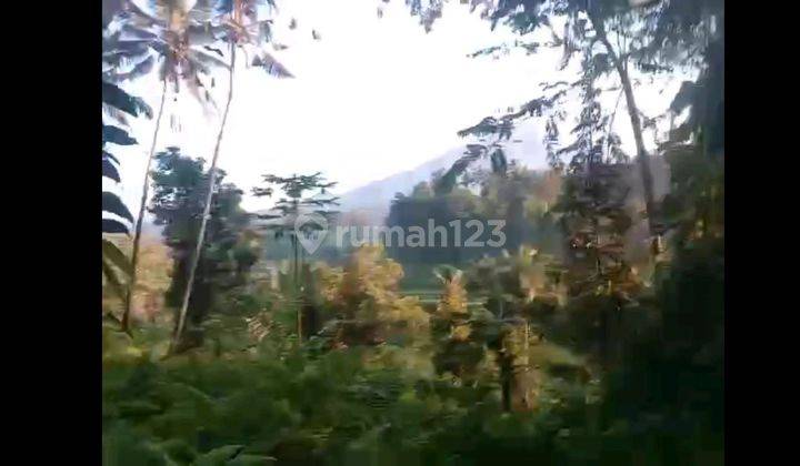 Land For Sale Location Close To Sidemen Traditional Village Bali  2