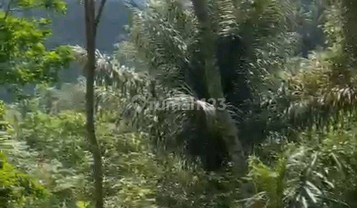 Land For Sale Location At Sidemen Traditional Village Bali  2