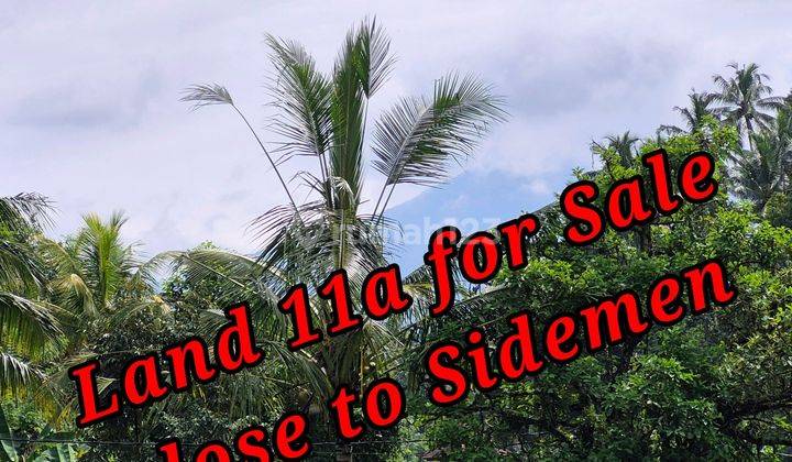 Land For Sale Close To Sidemen Traditional Village Bali Tanah di Jl. Raya Muncan, Muncan, Kec. Selat, Kabupaten Karangasem, Bali, Sidemen SHM 1100.0 m² 1