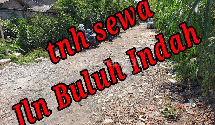 Disewakan Tanah di area Jln Buluh Indah Denpasar Bali Tanah Kontrakan 2 SHM are 1