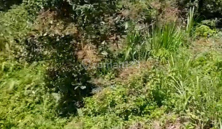Land For Sale Location At Central Of Sidemen Traditional Village Bali  2