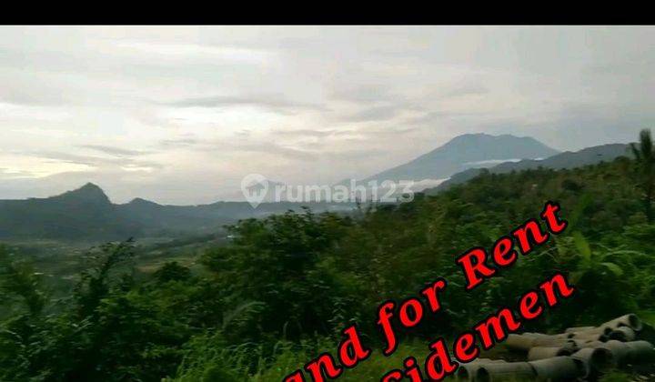Land Fot Rent Location At Sidemen Traditional Village Bali Tanah di Jl. Talibeng, Talibeng, Kec. Sidemen, Kabupaten Karangasem, Bali, Sidemen 12760.0 1
