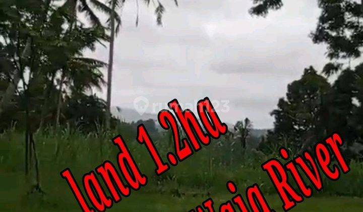 Land For Sale Location Above Telaga Waja River Karangasem Bali  1