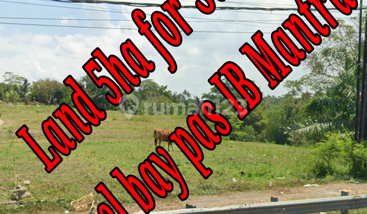 For Sale Land Along the Main Road Bay Pas Ib Mantra Ketewel Bali Land on Jl. Prof. Dr. Ida Bagus Mantra, Ketewel, Kec. Sukawati, Gianyar Regency, Bali, Ketewel SHM 50000.0 m² For Sale Land Along the Main Road Bay Pas Ib Mantra Ketewel Bali Land on Jl. Prof. Dr. Ida Bagus Mantra, Ketewel, Kec. Sukawati, Gianyar Regency, Bali, Ketewel SHM 50000.0 m²