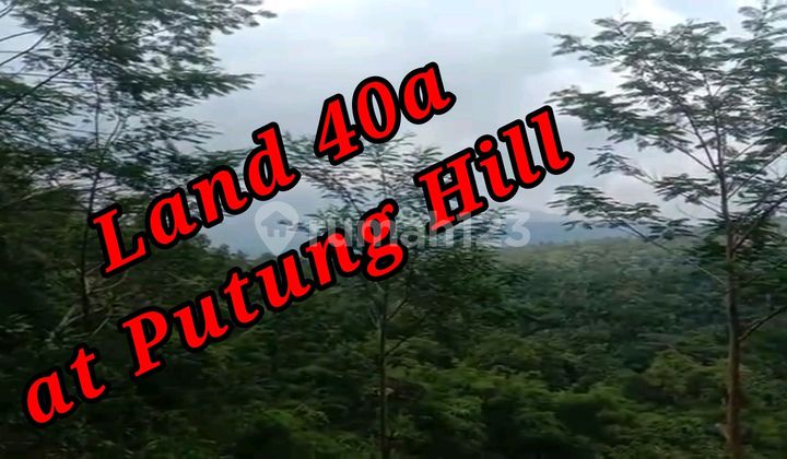 Land For Sale Location At Putung Hill Selat Duda Karangasem Bali  
Land on Jl. Raya Selat, Duda, Sub-district Selat, Karangasem Regency, Bali, Duda SHM 4000.0 m²