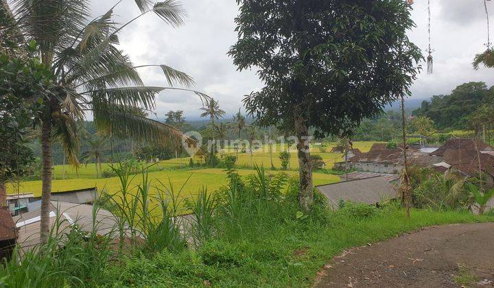 Land For Sale 

location Close To Sidemen Traditional Village Bali 2