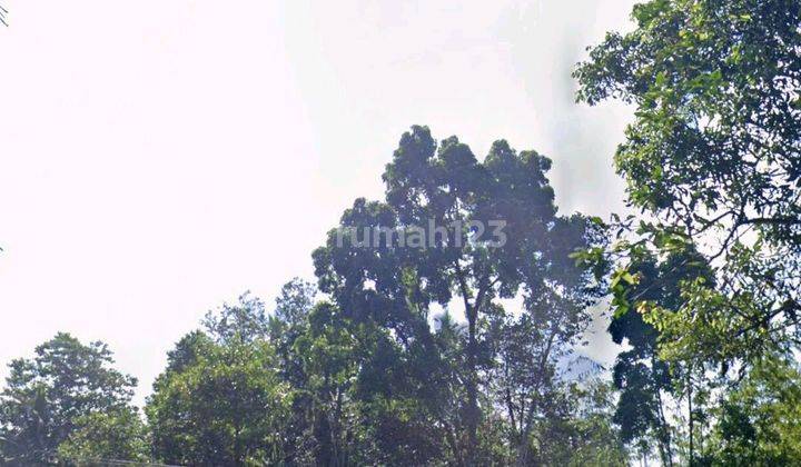 Land For Sale Location Above Telaga Waja River Karangasem Bali  2