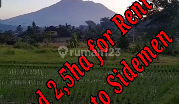 Land For Rent Location Close To Sidemen Traditional Village Bali  
Land on Jln Raya Segah Rendang Karangasem, Sidemen SHM - Certificate of Ownership 2.5 ha