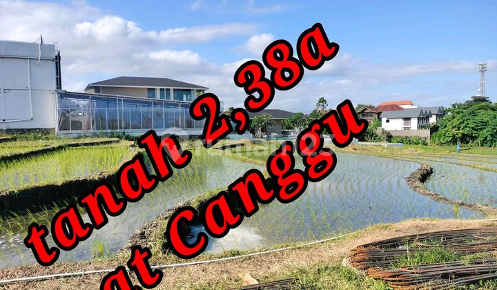 Tanah 2,38a Dijual Di Canggu Bali Tanah di Canggu, Jl. Raya Canggu No. 2, Canggu, Kuta Utara, Badung, Bali, Indonesia, 80361, Canggu SHM 238.0 m² Tanah 2,38a Dijual Di Canggu Bali Tanah di Canggu, Jl. Raya Canggu No. 2, Canggu, Kuta Utara, Badung, Bali, Indonesia, 80361, Canggu SHM 238.0 m²