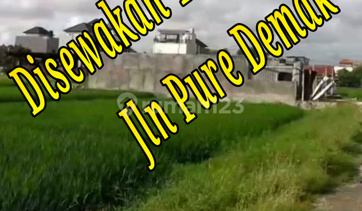 Disewakan Tanah 22A di Jln Pure Demak Denpasar Bali Tanah di Jl. Pura Demak No.1, Pemecutan Klod, Denpasar Barat, Kota Denpasar, Bali, Indonesia, 80119, Denpasar Barat SHM 2200.0 M² Disewakan Tanah 22A di Jln Pure Demak Denpasar Bali Tanah di Jl. Pura Demak No.1, Pemecutan Klod, Denpasar Barat, Kota Denpasar, Bali, Indonesia, 80119, Denpasar Barat SHM 2200.0 M²