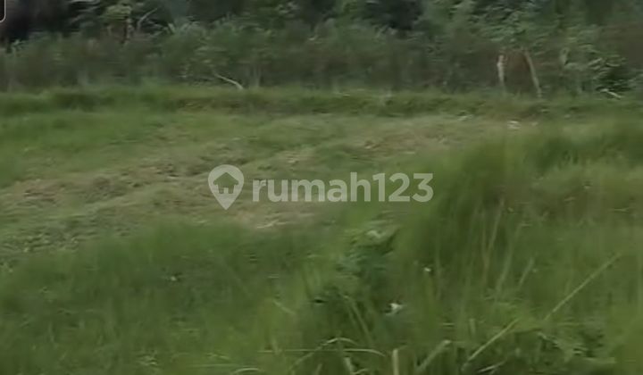 Land 25a For Lease At Sidemen Traditional Village Bali, Located in Rice Terrace, Sangkan Gunung, Sidemen, Karangasem, Sangkan Gunung, Sidemen, Karangasem, Bali, Indonesia, 80864, Sidemen SHM 2500.0 m² Land 25a For Lease At Sidemen Traditional Village Bali, Located in Rice Terrace, Sangkan Gunung, Sidemen, Karangasem, Sangkan Gunung, Sidemen, Karangasem, Bali, Indonesia, 80864, Sidemen SHM 2500.0 m²