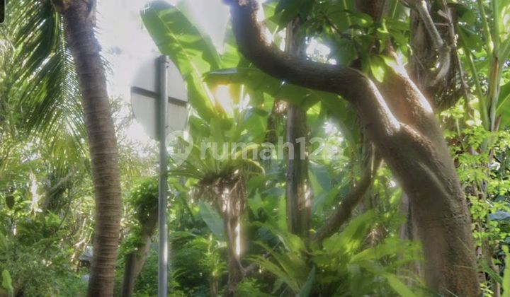 Land for Sale, 1Ha on the Edge of the Main Road Bay Pas Ib Mantra Biaung, East Denpasar, Bali. Land at the Gate of Jalan Prof Dr Ida Bagus Mantra, Jl. Prof Ida Bagus Mantra, Kesiman Kertalangu, East Denpasar, Denpasar City, Bali, Indonesia, 80237, East Denpasar SHM 9500. Land for Sale, 1Ha on the Edge of the Main Road Bay Pas Ib Mantra Biaung, East Denpasar, Bali. Land at the Gate of Jalan Prof Dr Ida Bagus Mantra, Jl. Prof Ida Bagus Mantra, Kesiman Kertalangu, East Denpasar, Denpasar City, Bali, Indonesia, 80237, East Denpasar SHM 9500.