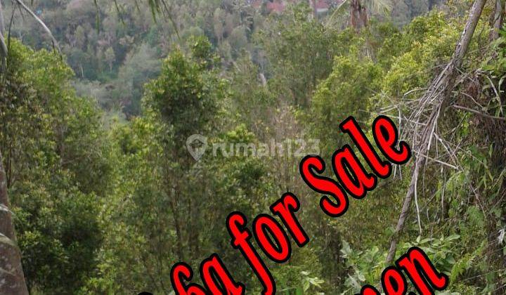 Land 8,6a For Sale At Sidemen Traditional Village Bali Tanah di Jl. Sidemen - Sangkan Gn., Sangkan Gn., Kec. Sidemen, Kabupaten Karangasem, Bali, Sidemen SHM 860.0 m² 1