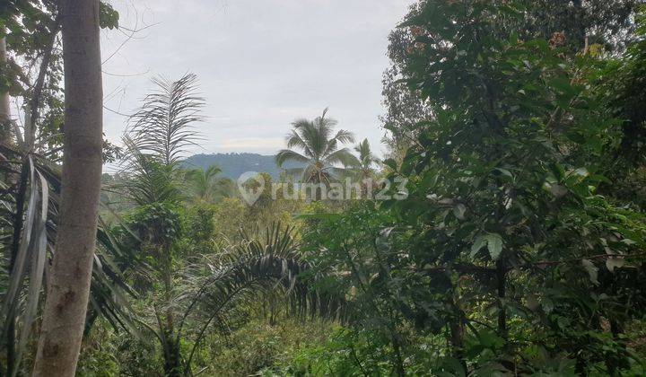 Land for Sale 

Location close to Sidemen Traditional Village Bali Tanah 35 SHM are 2