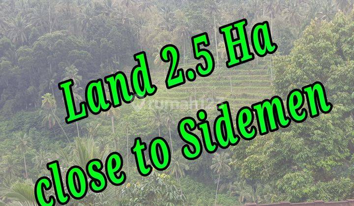 Land For Sale Close To Sidemen Traditional Village Bali Tanah 250 Shm Are 1