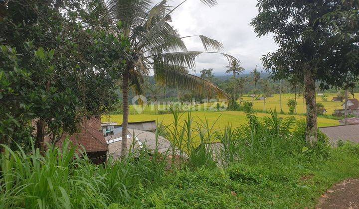 Land For Sale 

location Close To Sidemen Traditional Village Bali 2