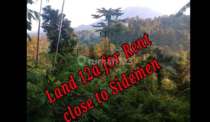 Land For Rent Location Close To Sidemen Traditional Village Bali  1