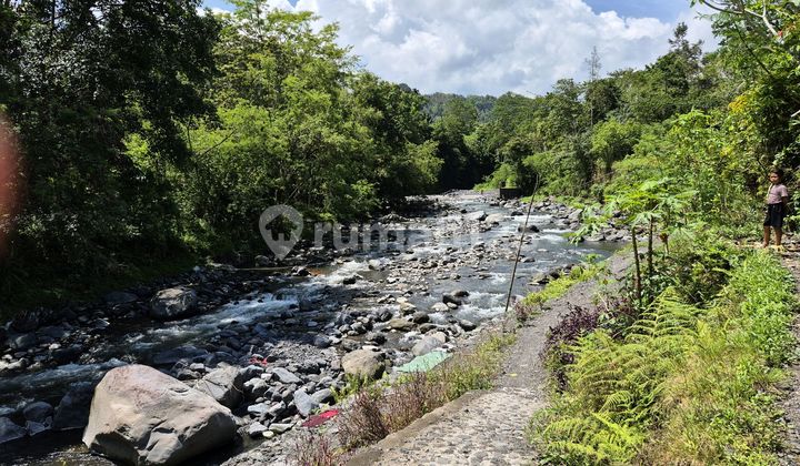 Land 32A For Lease At Sidemen Traditional Village Bali Land in Sideman Silver, Jl. Sangkan Gunung, Sangkan Gunung, Sidemen, Karangasem, Bali, Indonesia, 80864, Sidemen SHM 3200.0 M² Land 32A For Lease At Sidemen Traditional Village Bali Land in Sideman Silver, Jl. Sangkan Gunung, Sangkan Gunung, Sidemen, Karangasem, Bali, Indonesia, 80864, Sidemen SHM 3200.0 M²