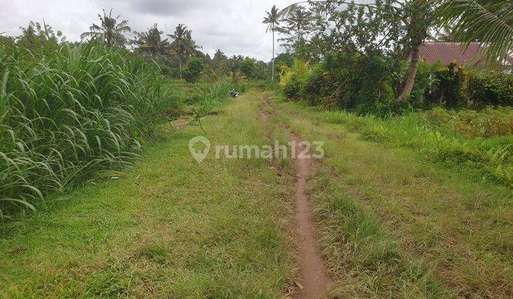 Land for Sale 

Location close to Sidemen Traditional Village Bali Tanah 8,5 SHM are