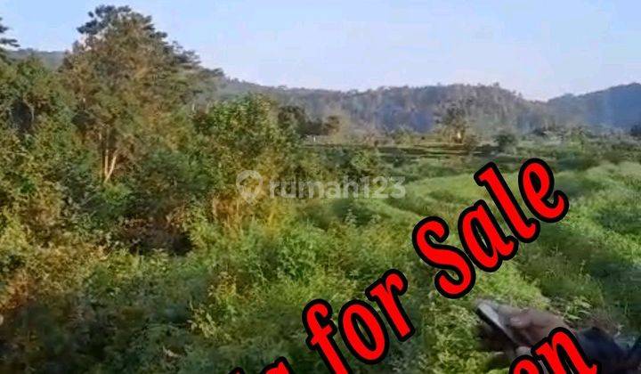 Land For Sale Location At Central Of Sidemen Traditional Village Bali  1