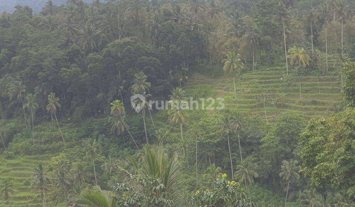 Land For Sale Close To Sidemen Traditional Village Bali Tanah 8,5 Shm Are