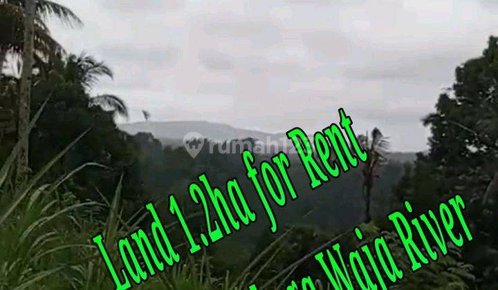 Land For Rent Location Above Telaga Waja River Karangasem Bali Tanah di Jl. Raya Muncan, Muncan, Kec. Selat, Kabupaten Karangasem, Bali, Rendang 12000.0 m² 1