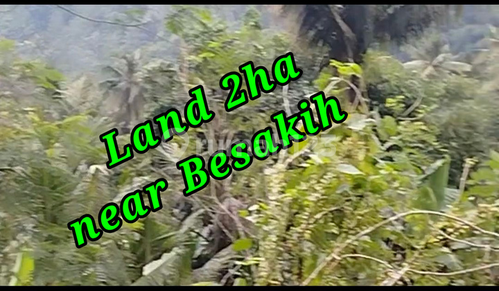 Land 2ha For Sale Location Near Besakih Area Karangasem Bali Tanah di Pura, Jl. Raya Pempatan, Pempatan, Rendang, Karangasem, Bali, Indonesia, 80863, Besakih SHM 19510.0 m²