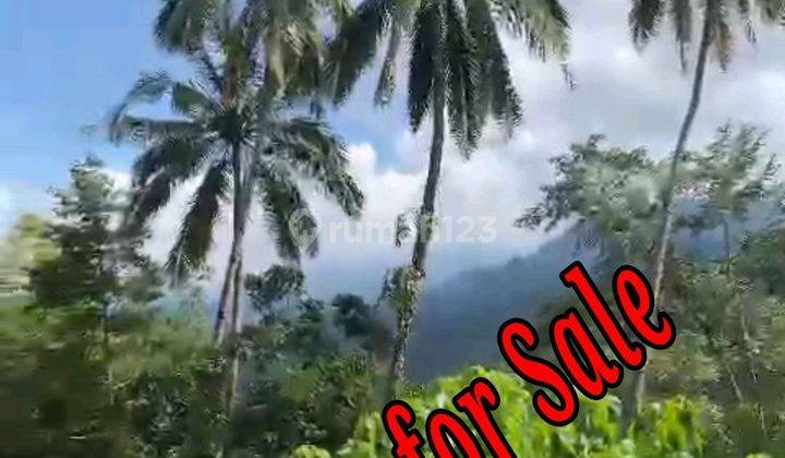 Land For Sale Location At Sidemen Traditional Village Bali  1
