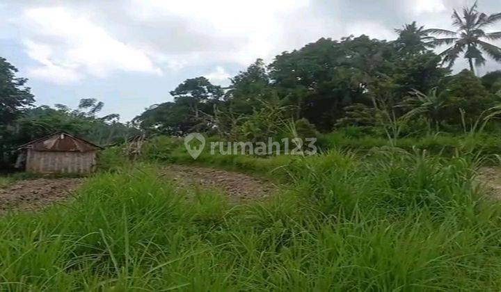 Land For Sale Location Close To Sidemen Traditional Village Bali  2