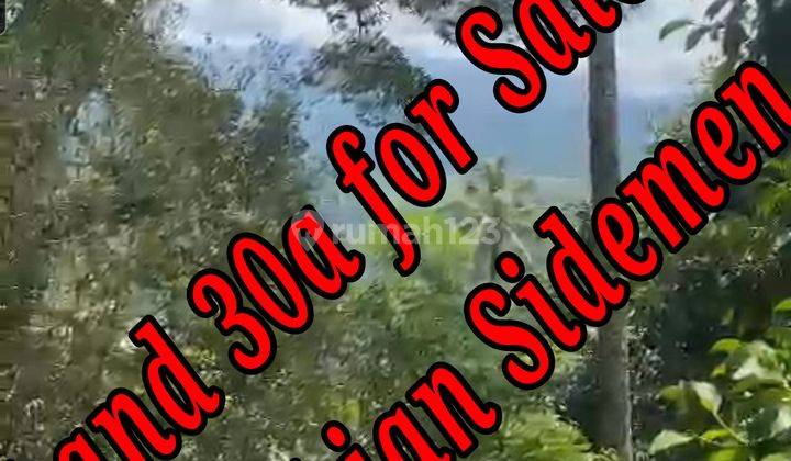 Land For Sale At Kikian Sidemen Traditional Village Bali Tanah di Jl. Sidemen, Sidemen, Kec. Sidemen, Kabupaten Karangasem, Bali, Sidemen SHM 3000.0 m² 1