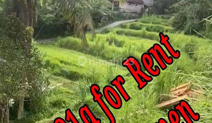 Land For Rent Location At Sidemen Traditional Village Bali  1