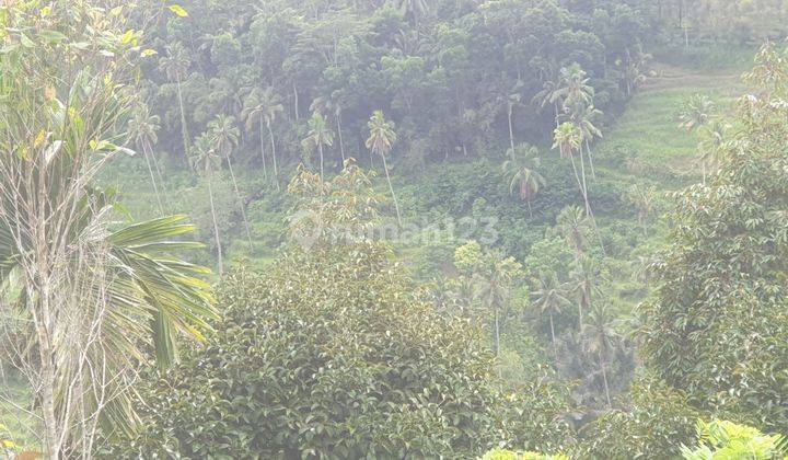 Land For Sale Close To Sidemen Traditional Village Bali Tanah 250 Shm Are 2