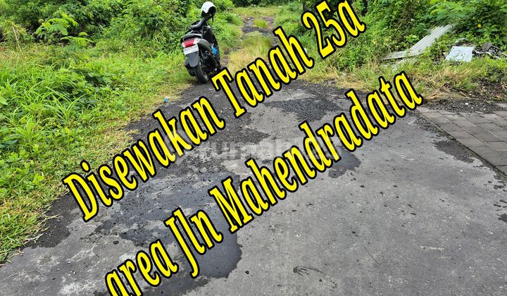 Disewakan Tanah 25A di Area Jln Mahendradata Denpasar Barat Bali Tanah di Jl. Mahendradatta No.88e, Padangsambian, Denpasar Barat, Kota Denpasar, Bali, Indonesia, 80117, Denpasar Barat SHM 2500.0 M² Disewakan Tanah 25A di Area Jln Mahendradata Denpasar Barat Bali Tanah di Jl. Mahendradatta No.88e, Padangsambian, Denpasar Barat, Kota Denpasar, Bali, Indonesia, 80117, Denpasar Barat SHM 2500.0 M²