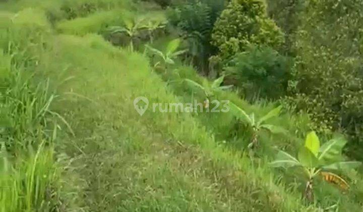 Land For Rent Location At Sidemen Traditional Village Bali  2