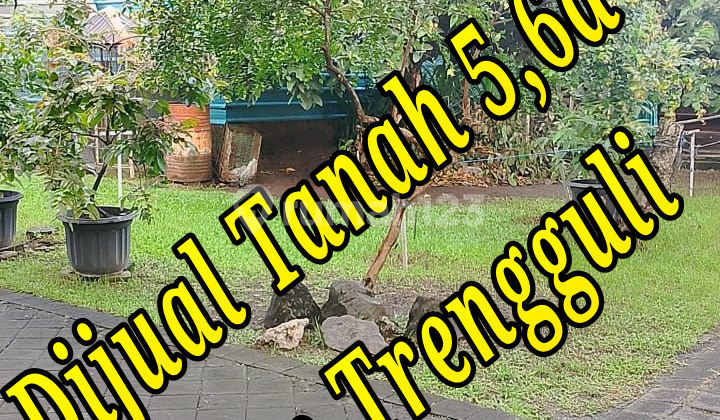 Ready to Occupy, Land, 1 Floor, SHM, Near International School, Flood-Free,