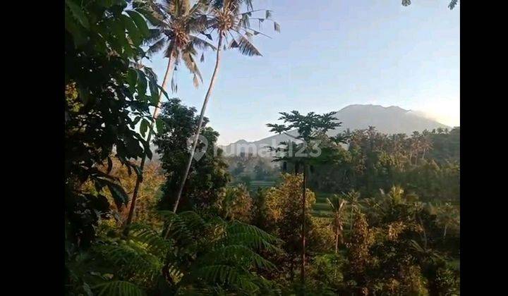 Land For Rent Location Close To Sidemen Traditional Village Bali  2