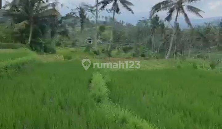 Land For Sale At Sidemen Traditional Village Bali 2