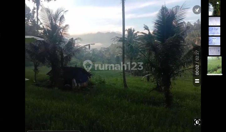 Land 13a For Sale Close To Sidemen Traditional Village Bali Tanah di Jl. Raya Muncan, Muncan, Kec. Selat, Kabupaten Karangasem, Bali, Sidemen SHM 1300.0 m² 2