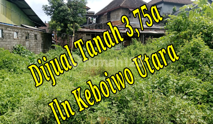 Bebas Banjir, Tanah, 1 Lantai, SHM, Dekat Universitas, Siap Huni,