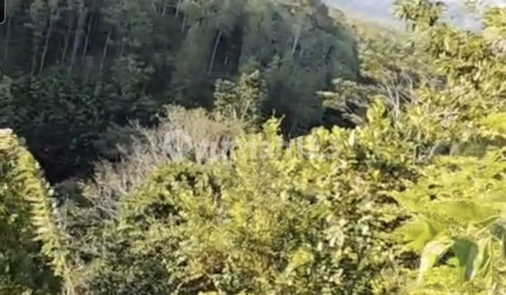 Land 50A For Lease Close To Muncan And Sidemen Village Karangasem Bali Land at Telaga Waja White Water Rafting, Jl. Muncan, Rendang, Rendang, Karangasem, Bali, Indonesia, 80863, Sidemen SHM 5000.0 M² Land 50A For Lease Close To Muncan And Sidemen Village Karangasem Bali Land at Telaga Waja White Water Rafting, Jl. Muncan, Rendang, Rendang, Karangasem, Bali, Indonesia, 80863, Sidemen SHM 5000.0 M²