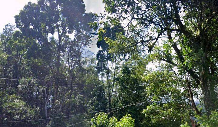 Land For Rent Location Above Telaga Waja River Karangasem Bali Tanah di Jl. Raya Muncan, Muncan, Kec. Selat, Kabupaten Karangasem, Bali, Rendang 12000.0 m² 2