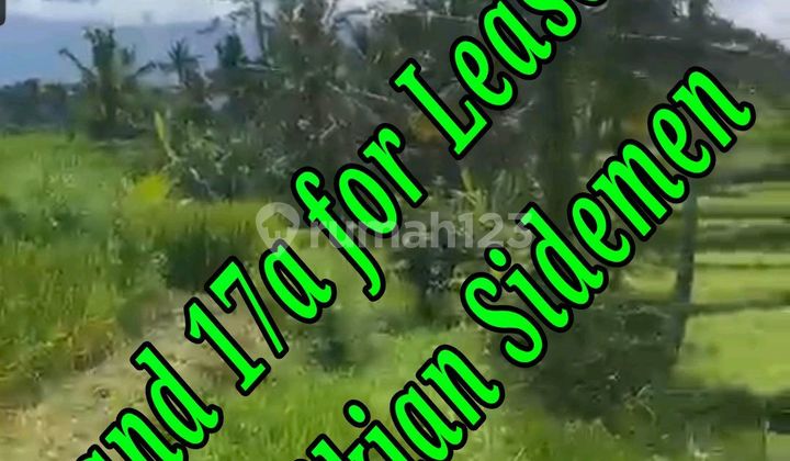 Land for Rent at Kikian Sidemen Traditional Village Bali
Land at Patal Kikian Villas Sinduwati, Jl. Raya Sinduwati, Sindu Wati, Sidemen, Karangasem, Bali, Indonesia, 80864, Sidemen
SHM 1300.0 m² Land for Rent at Kikian Sidemen Traditional Village Bali
Land at Patal Kikian Villas Sinduwati, Jl. Raya Sinduwati, Sindu Wati, Sidemen, Karangasem, Bali, Indonesia, 80864, Sidemen
SHM 1300.0 m²