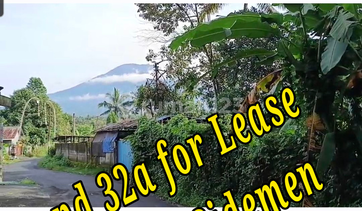 Land 32A For Lease Close To Sidemen Traditional Village Bali Land at the Family Planning Counseling Center, Subdistrict Office, Jl. Pering Sari, Pering Sari, Selat, Karangasem, Bali, Indonesia, 80862, Sidemen SHM 3220.0 M² Land 32A For Lease Close To Sidemen Traditional Village Bali Land at the Family Planning Counseling Center, Subdistrict Office, Jl. Pering Sari, Pering Sari, Selat, Karangasem, Bali, Indonesia, 80862, Sidemen SHM 3220.0 M²