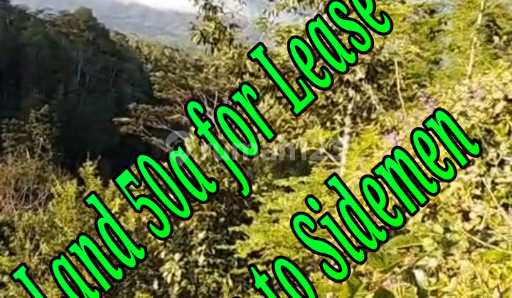 Land 50A For Lease Close To Muncan And Sidemen Village Karangasem Bali Land at Telaga Waja White Water Rafting, Jl. Muncan, Rendang, Rendang, Karangasem, Bali, Indonesia, 80863, Sidemen SHM 5000.0 M² Land 50A For Lease Close To Muncan And Sidemen Village Karangasem Bali Land at Telaga Waja White Water Rafting, Jl. Muncan, Rendang, Rendang, Karangasem, Bali, Indonesia, 80863, Sidemen SHM 5000.0 M²