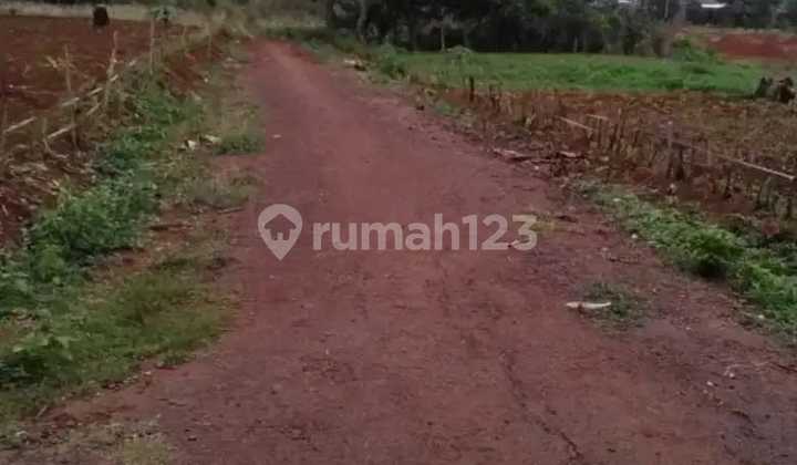 Dijual Tanas Luas Di Cileungsi 