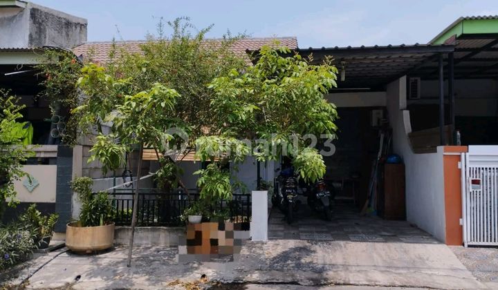 Dijual Murah Rumah Siap Huni Di Alamanda Regency Dijual Murah Rumah Siap Huni Di Alamanda Regency
