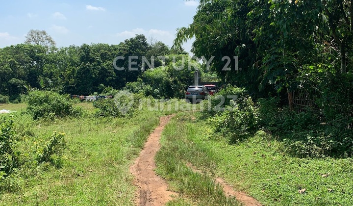 For Sale Land in Cikeusal Serang Strategic Location For Sale Land in Cikeusal Serang Strategic Location
