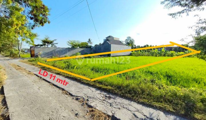 Tanah Sawah Jalur Kuning Dapat 2 Jalan Di Sewon Bantul 1